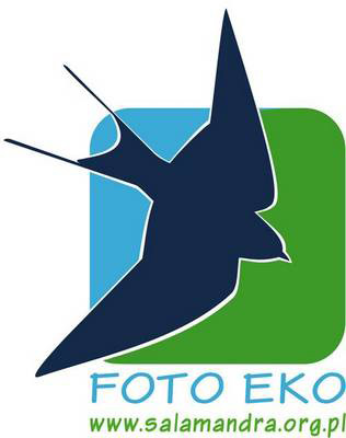 foto-eko---400