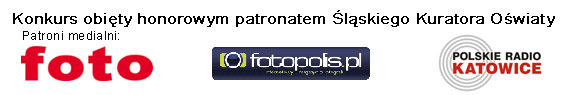 patroni-medialni